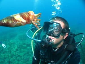 2 Accompanied Dives
