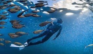 Snokeling in Malta with Starfish Diving