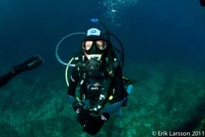 4 Accompanied Dives
