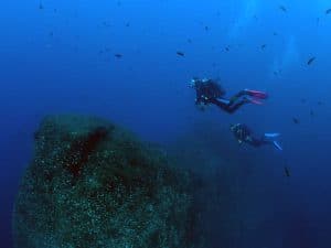PADI Peak Performance Buoyancy Speciality Course