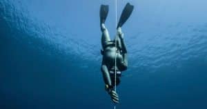 Full-Day Freediving Excursion