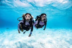 Entry Level Courses