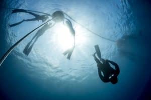 Half-Day Freediving Excursion