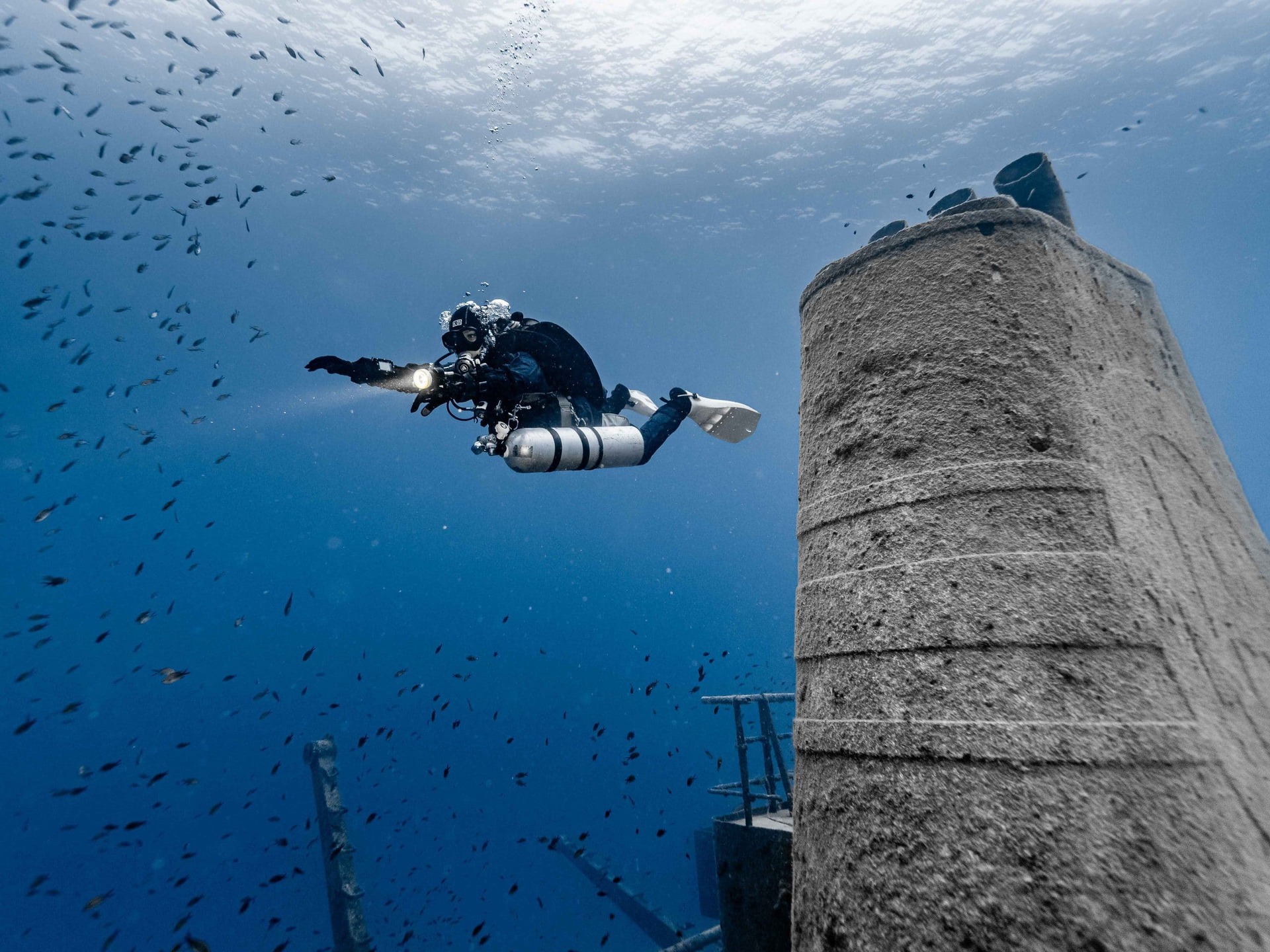 Star Fish Diving