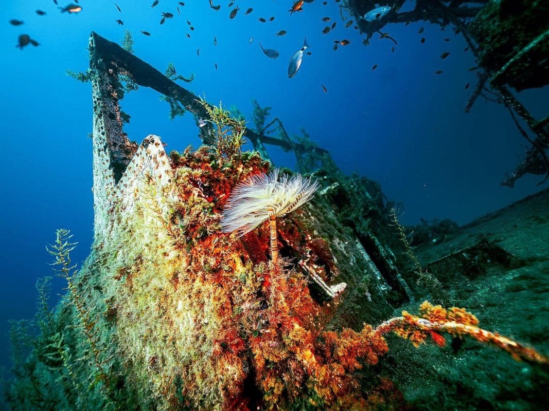 Diving the P29 Wreck in Malta - Cirkewwa Marine Park