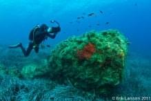 Marine Adventurer (PPB + DPV + Nitrox)