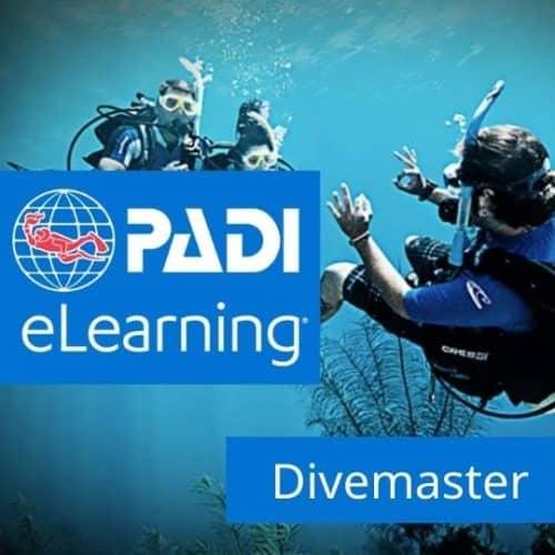 divemaster-500x500