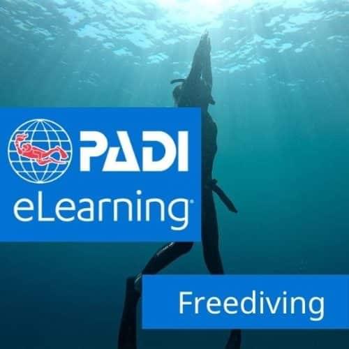freediving-500x500