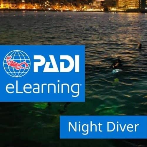 night-Diver-500x500